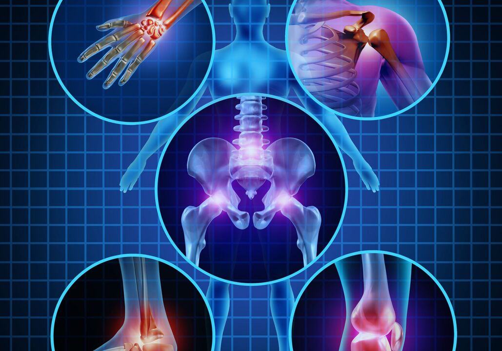 Joints that can be affected by osteoarthritis.